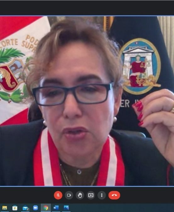 CAL SUR estuvo presente en la Reunión Virtual de la JUDECAP con la Presidenta del Poder Judicial
