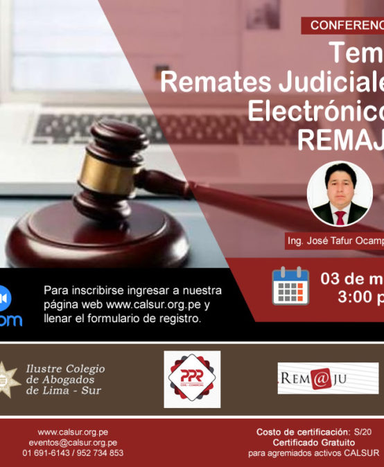 Conferencia Remates Judiciales Electrónicos REMAJU