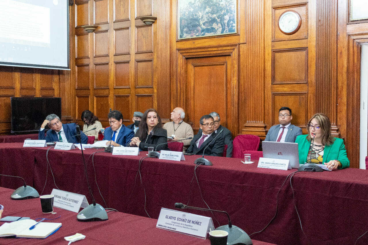 Decana del CALSUR participó en la séptima sesión ordinaria de la Comisión de Justicia y Derechos Humanos Decana del CALSUR participó en la séptima sesión ordinaria de la Comisión de Justicia y Derechos Humanos