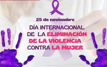 Dia internacional de la eliminacion de la violencia contra la mujer