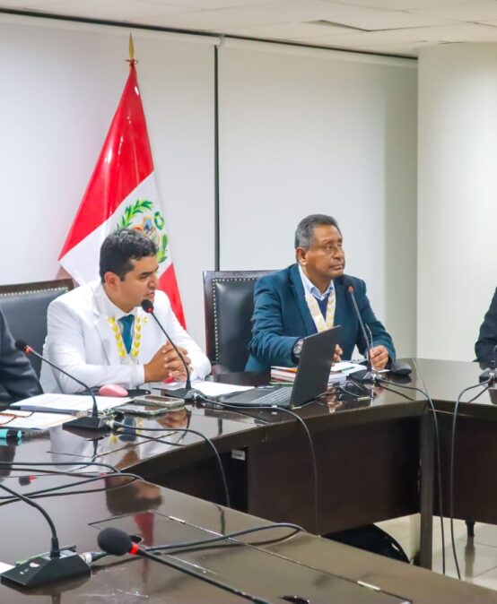 Presidente JUDECAP juramenta como miembro titular del CDCP2